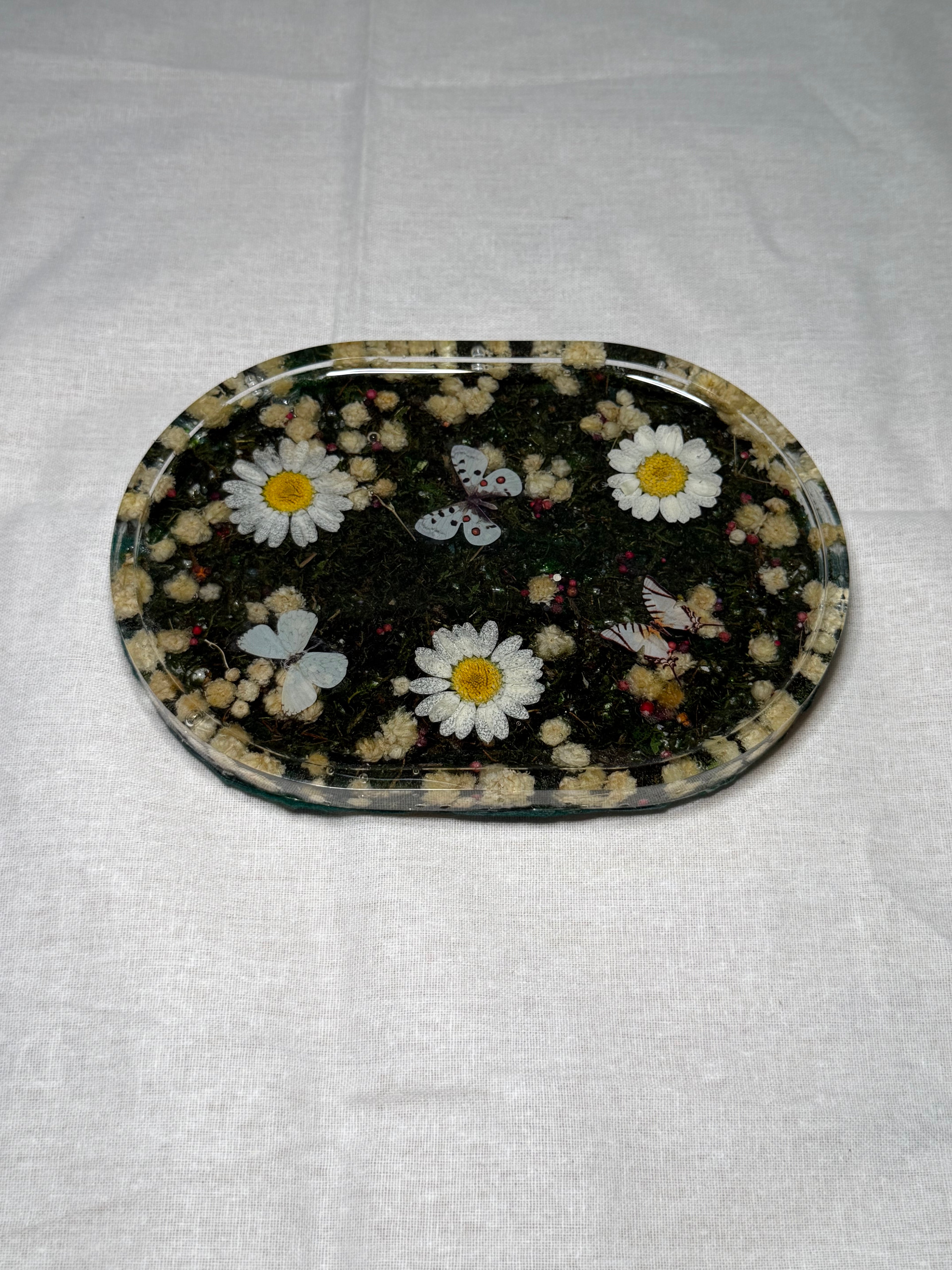 Discounted Butterfly Trinket Trays