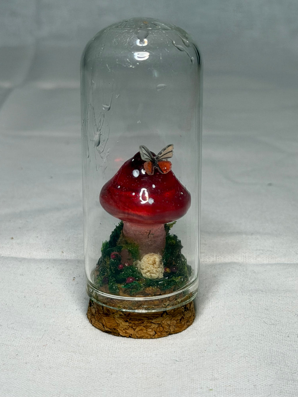 Mushroom Mini Domes