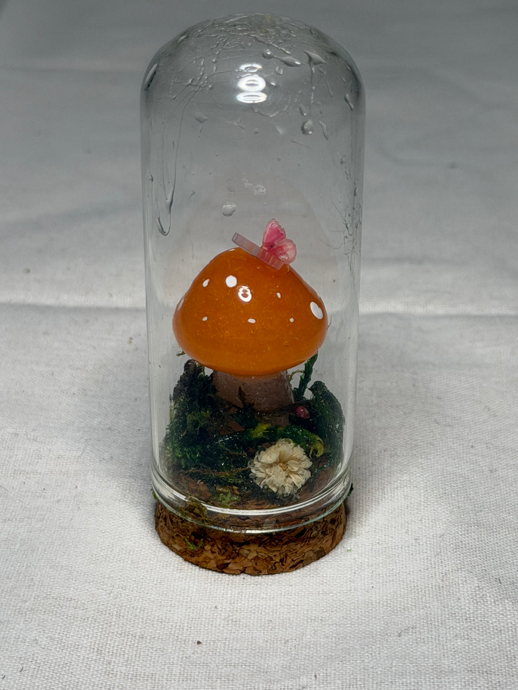 Mushroom Mini Domes