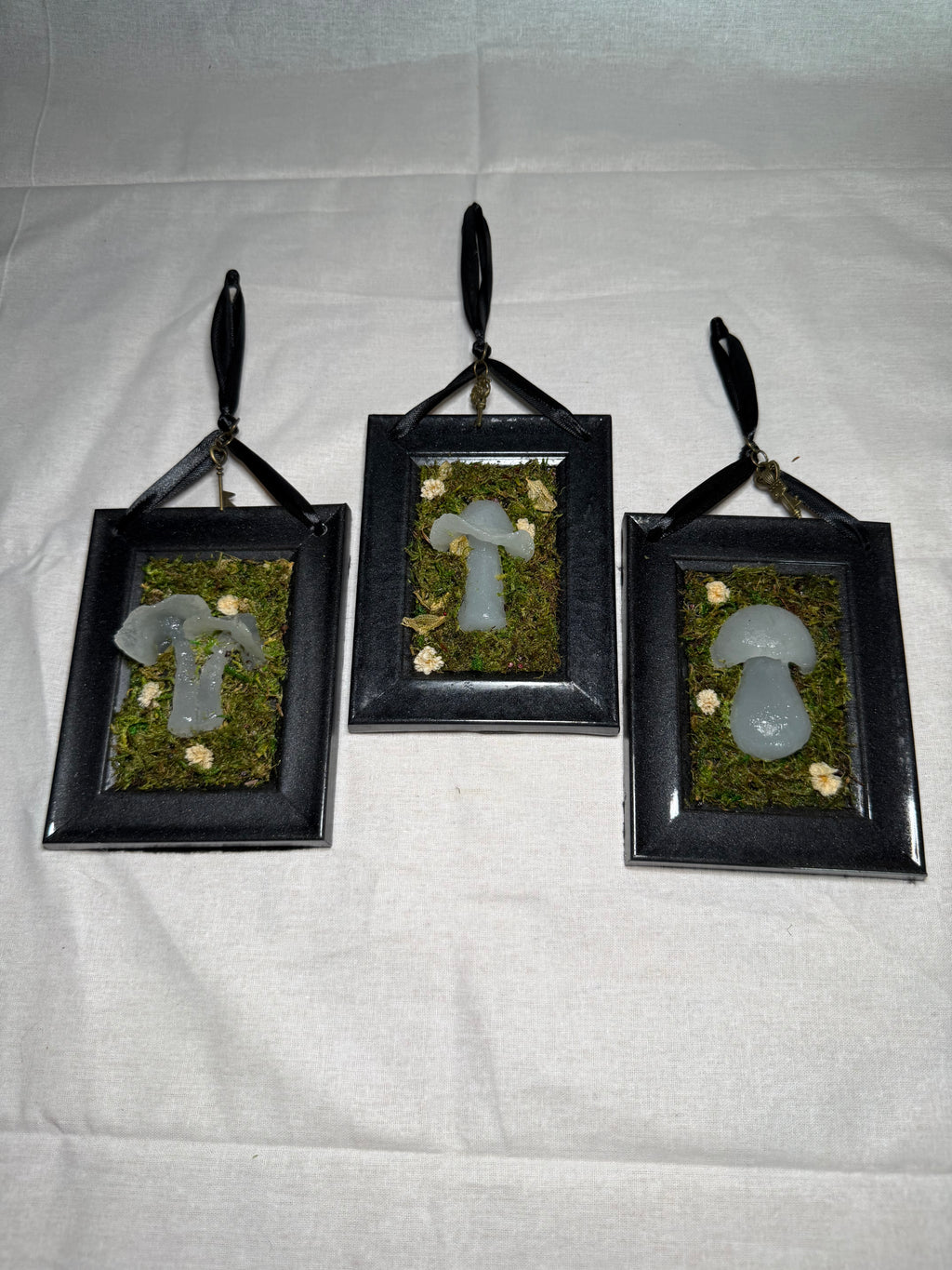 Mushroom Frames