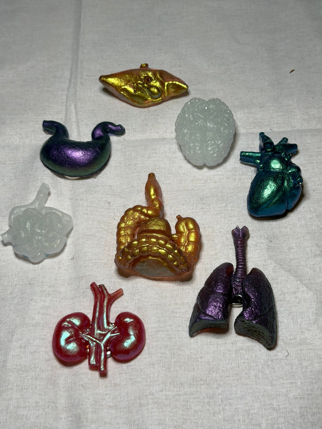 Organ Magnets