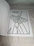 Magical Moths Coloring Book