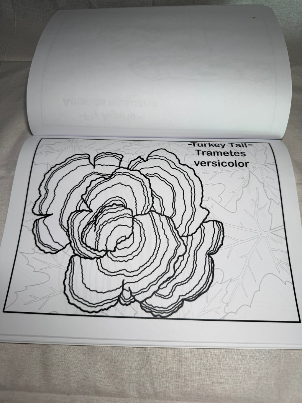 Funky Fungi Coloring Book
