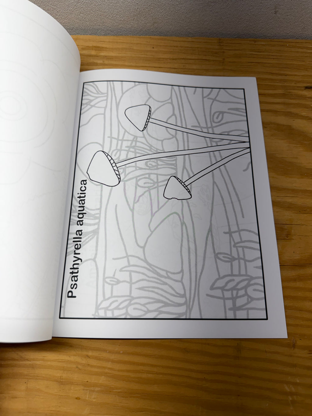Discounted Funky Fungi Coloring Book