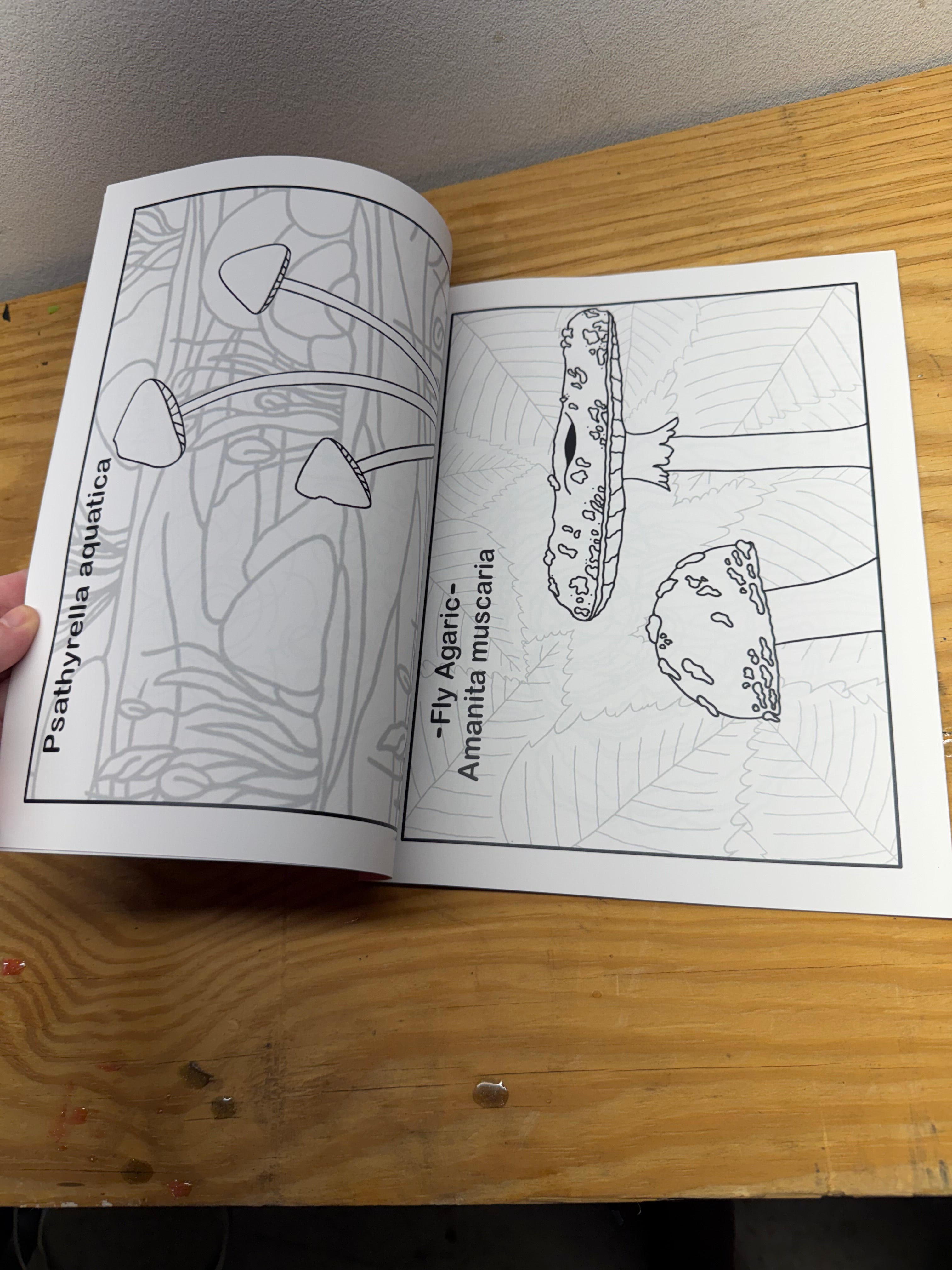 Discounted Funky Fungi Coloring Book