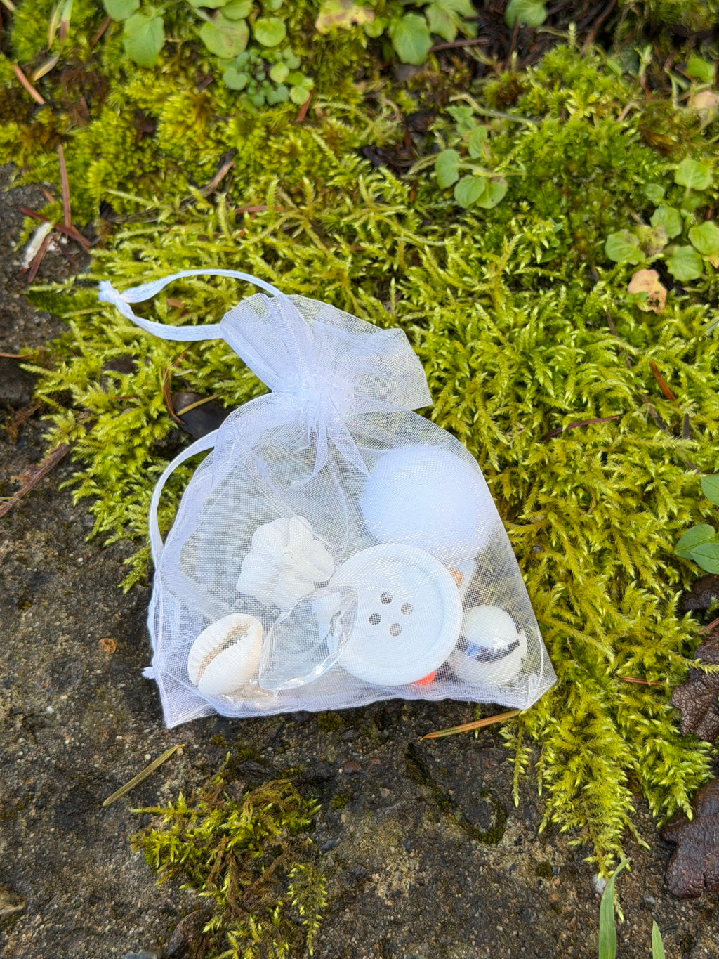 Large Goblin Trinket Bags
