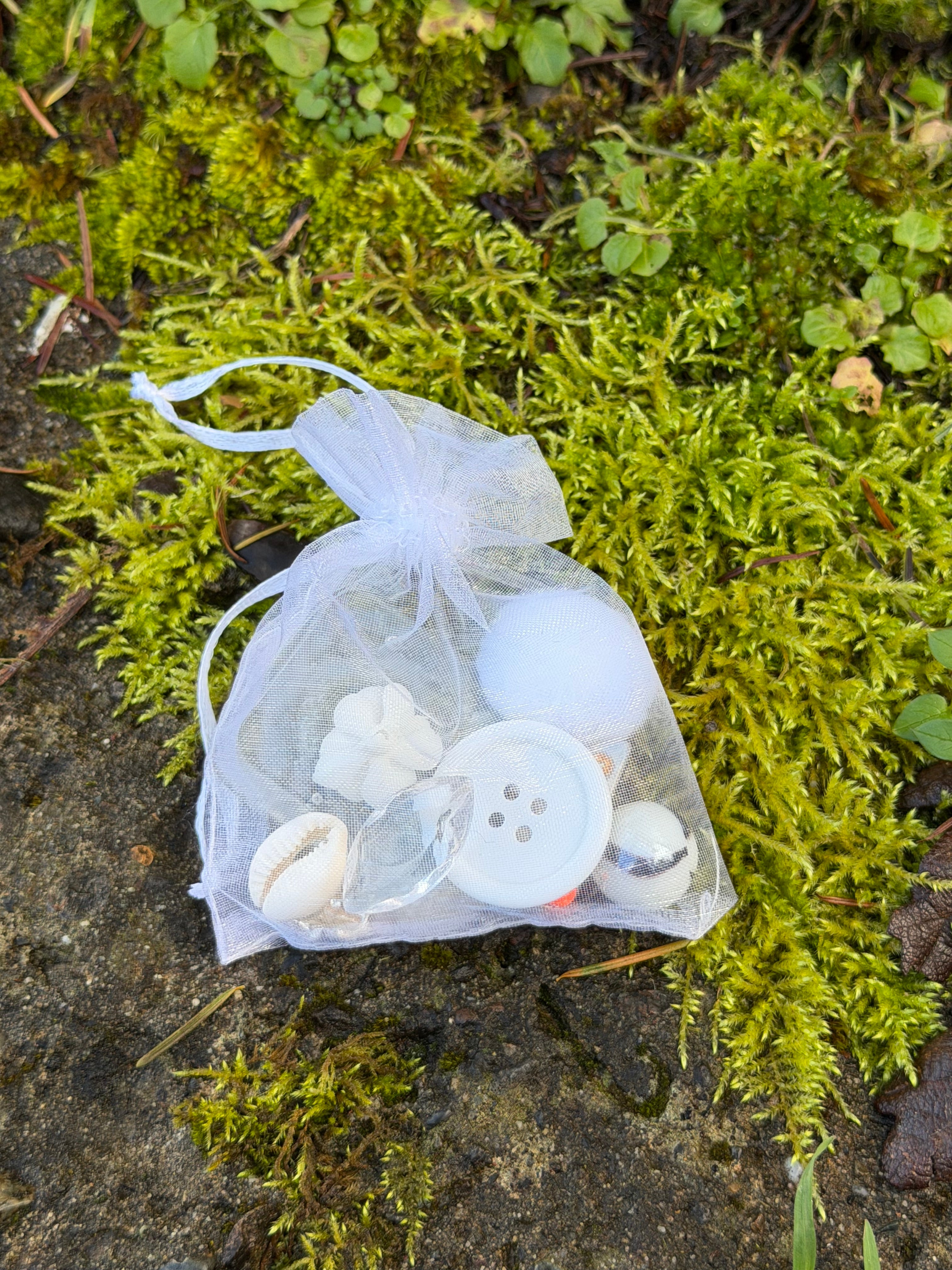 Large Goblin Trinket Bags