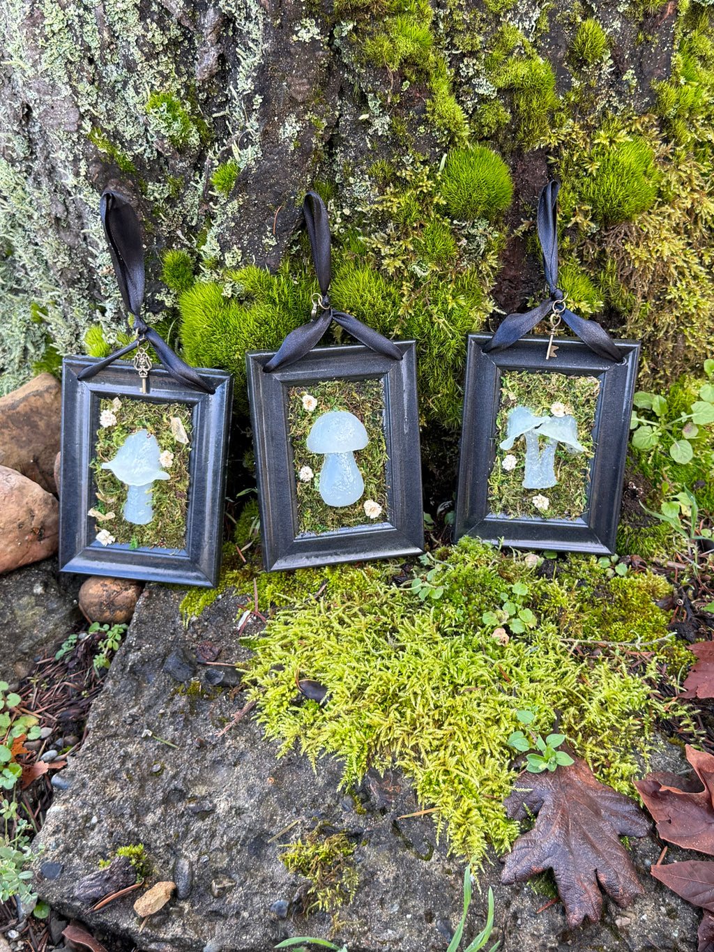 Mushroom Frames