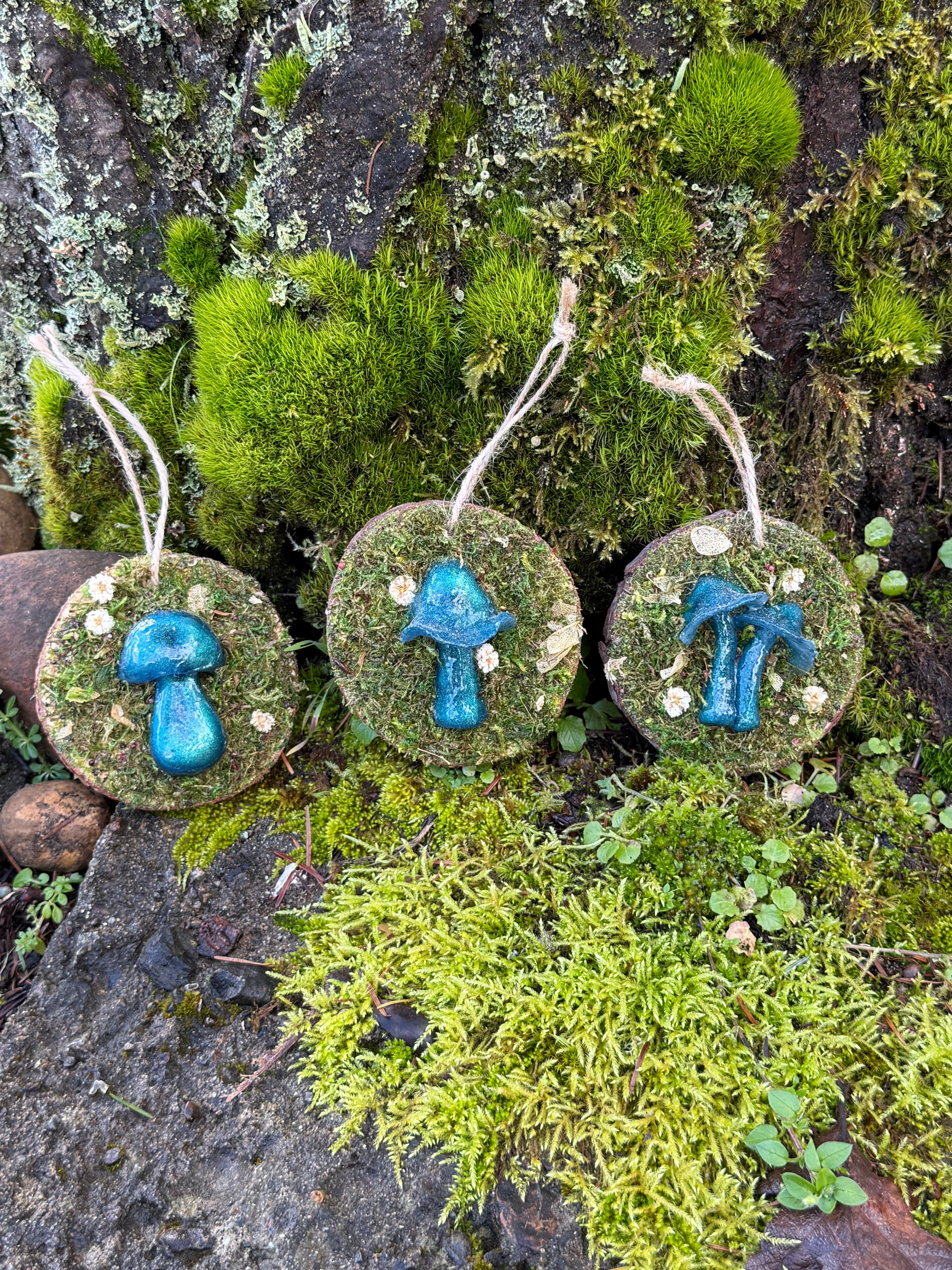 Mushroom Wooden Wall Charms