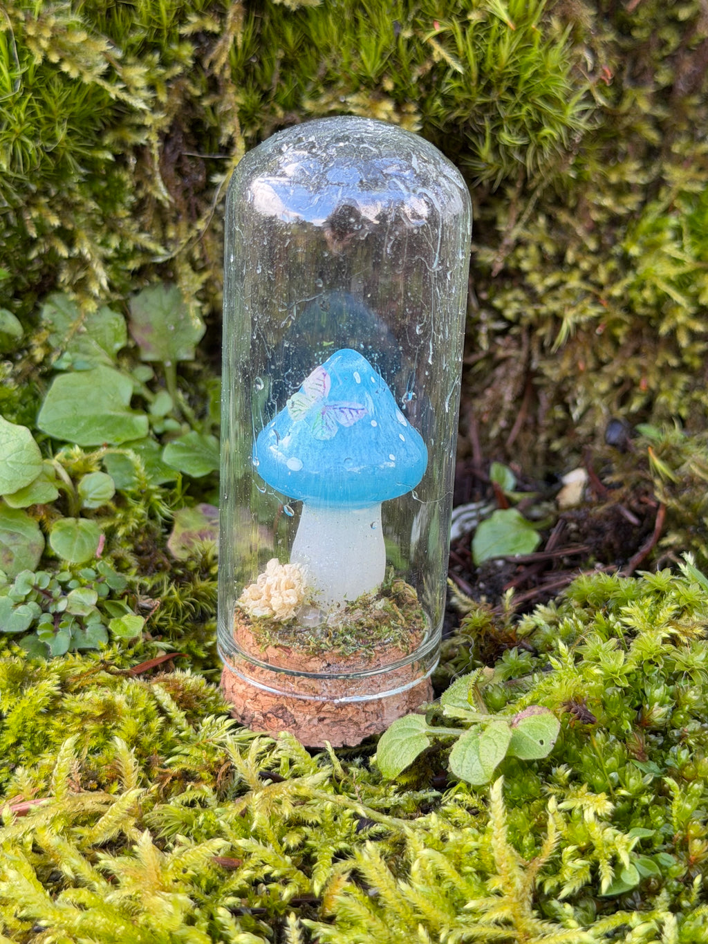 Mushroom Mini Domes