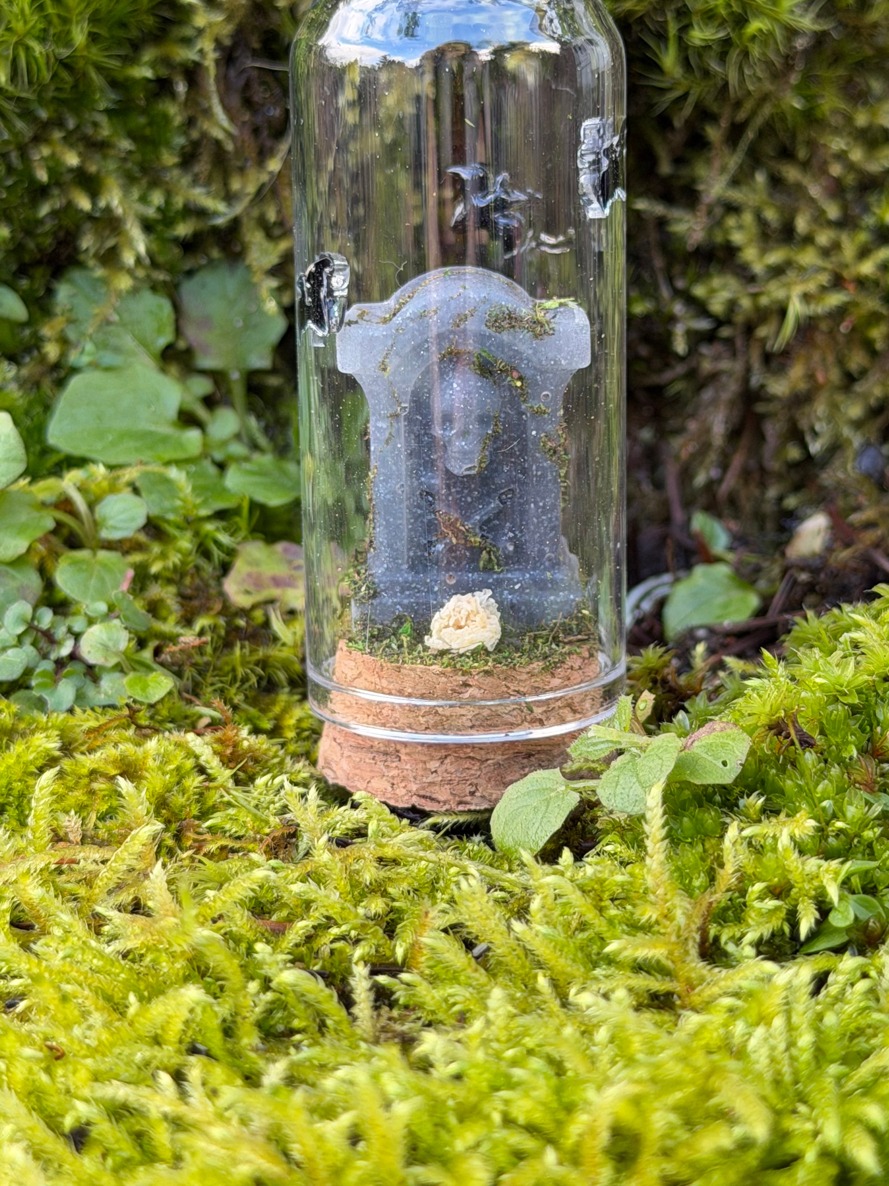 Gravestone Mini Domes
