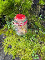 Love Goblin Trinket Jars