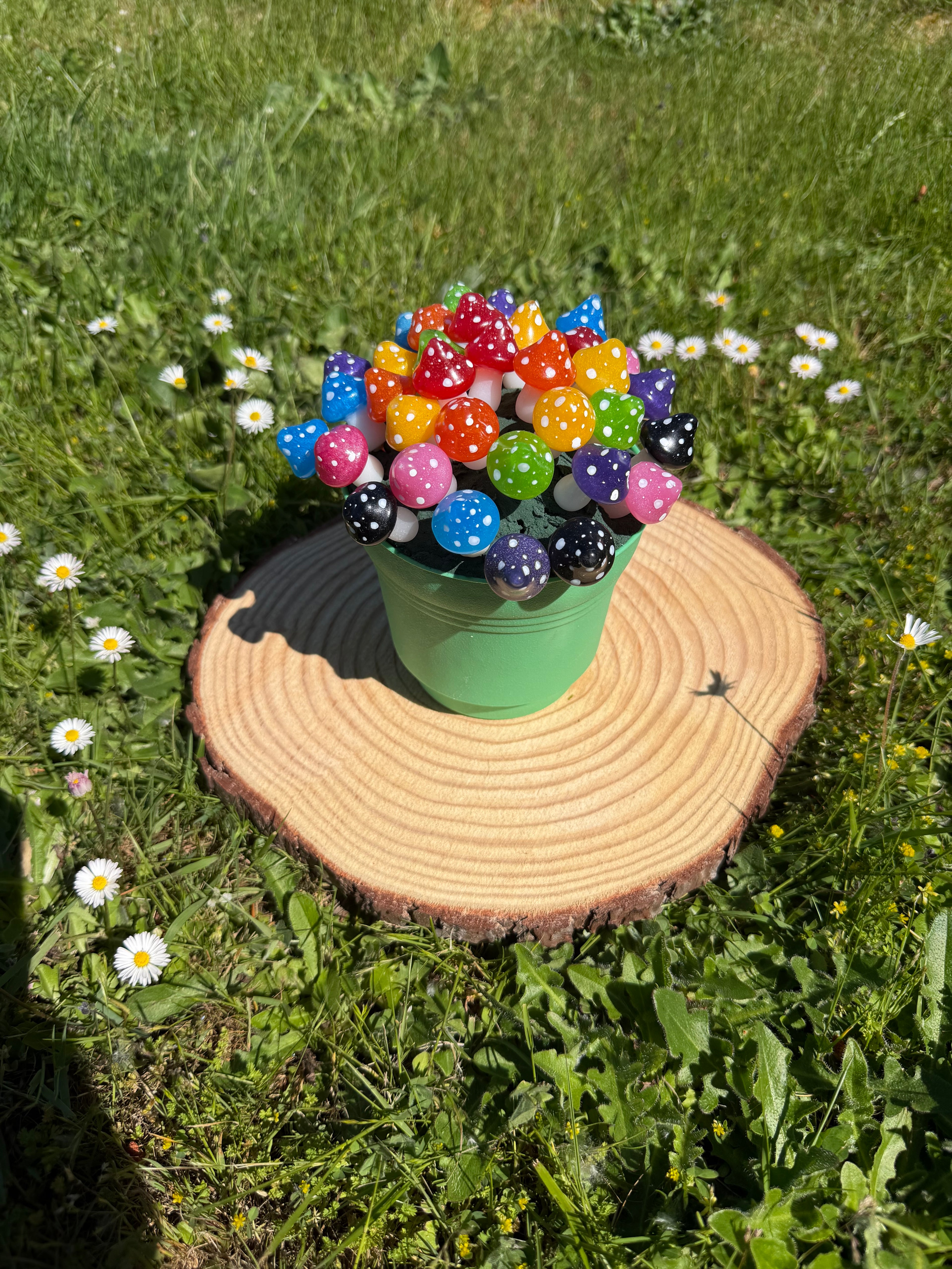 Plant Companion Mushies