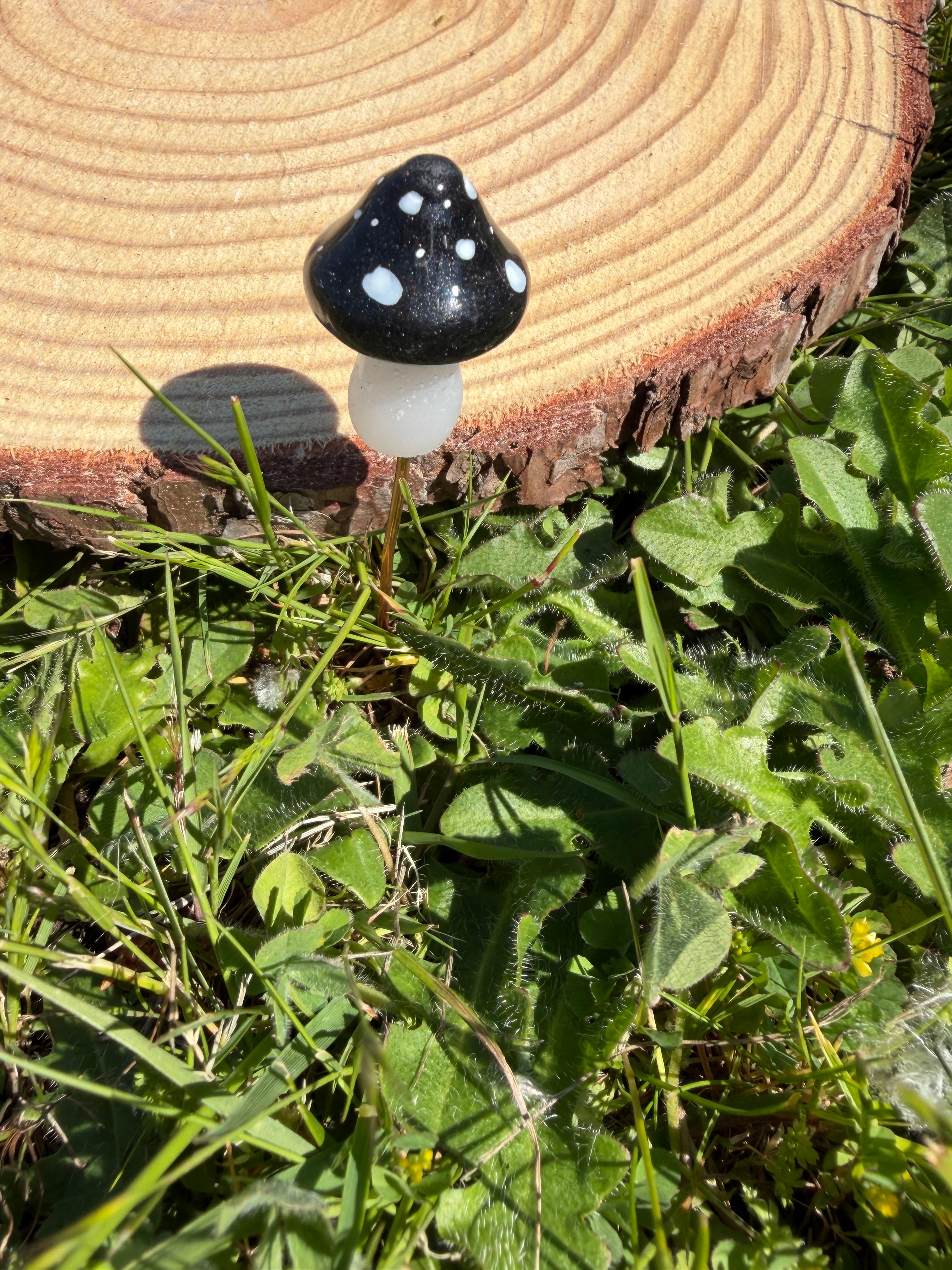 Plant Companion Mushies