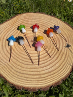 Plant Companion Mushies