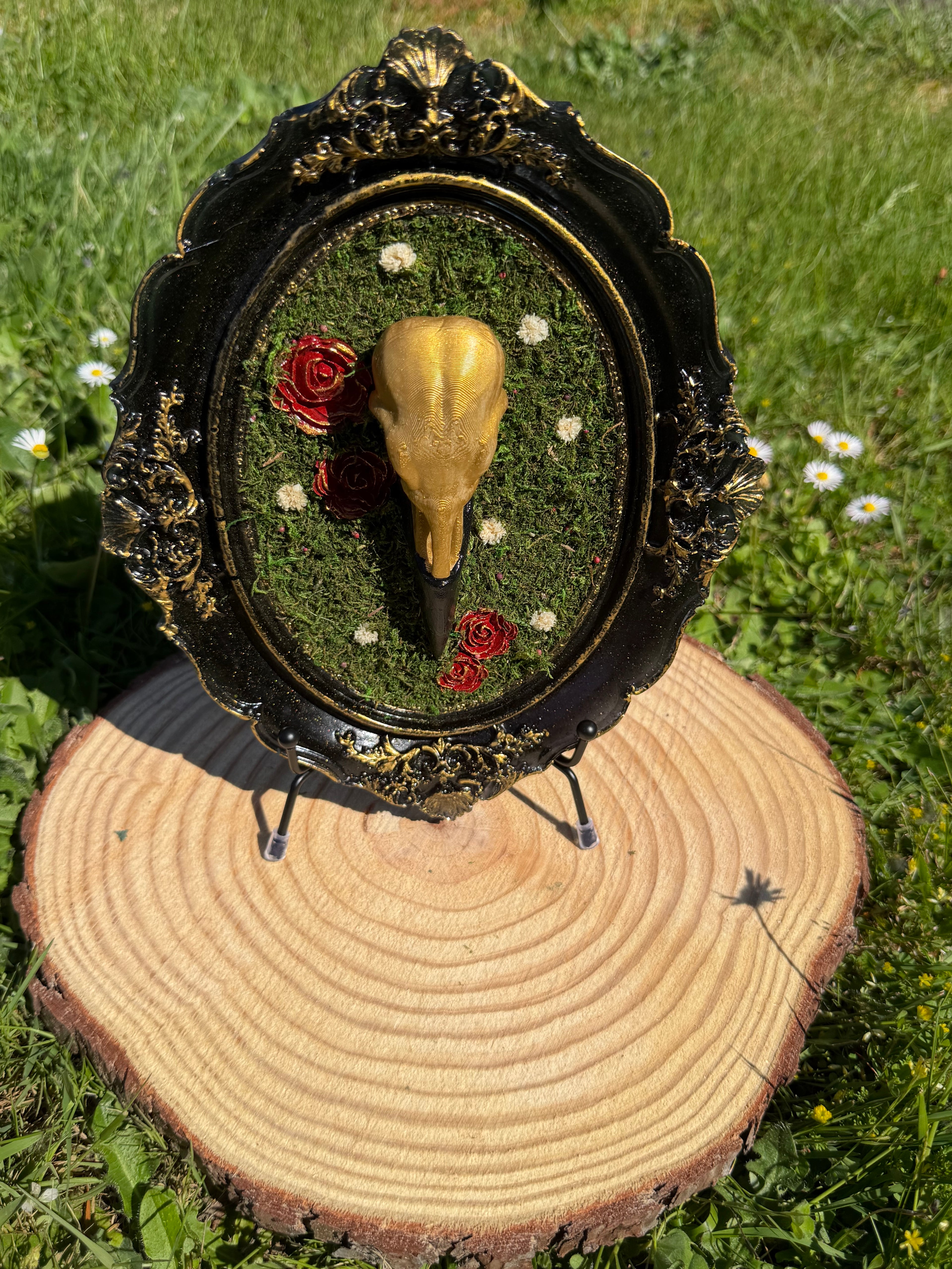Raven Frames