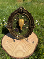 Raven Frames