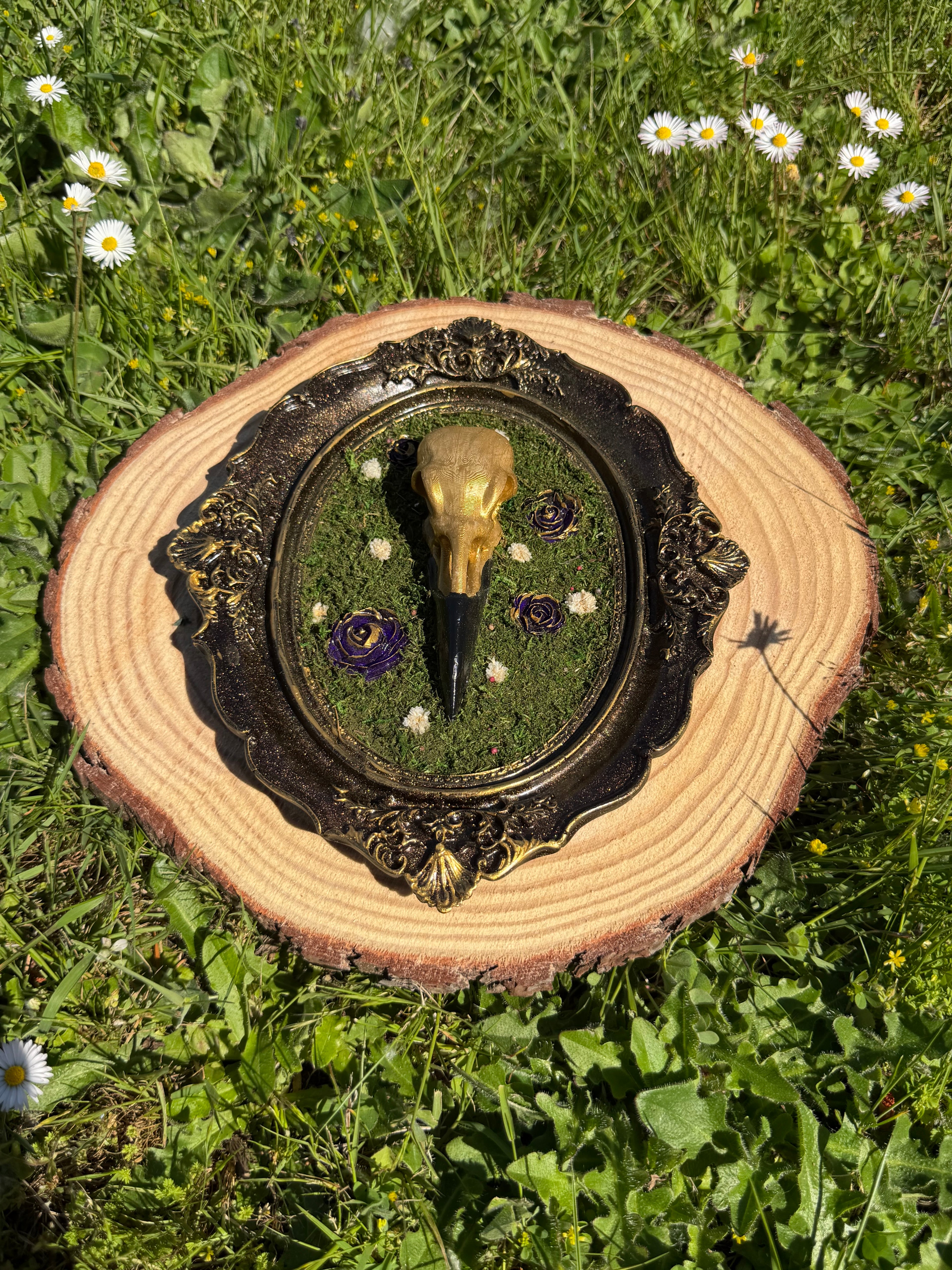Raven Frames