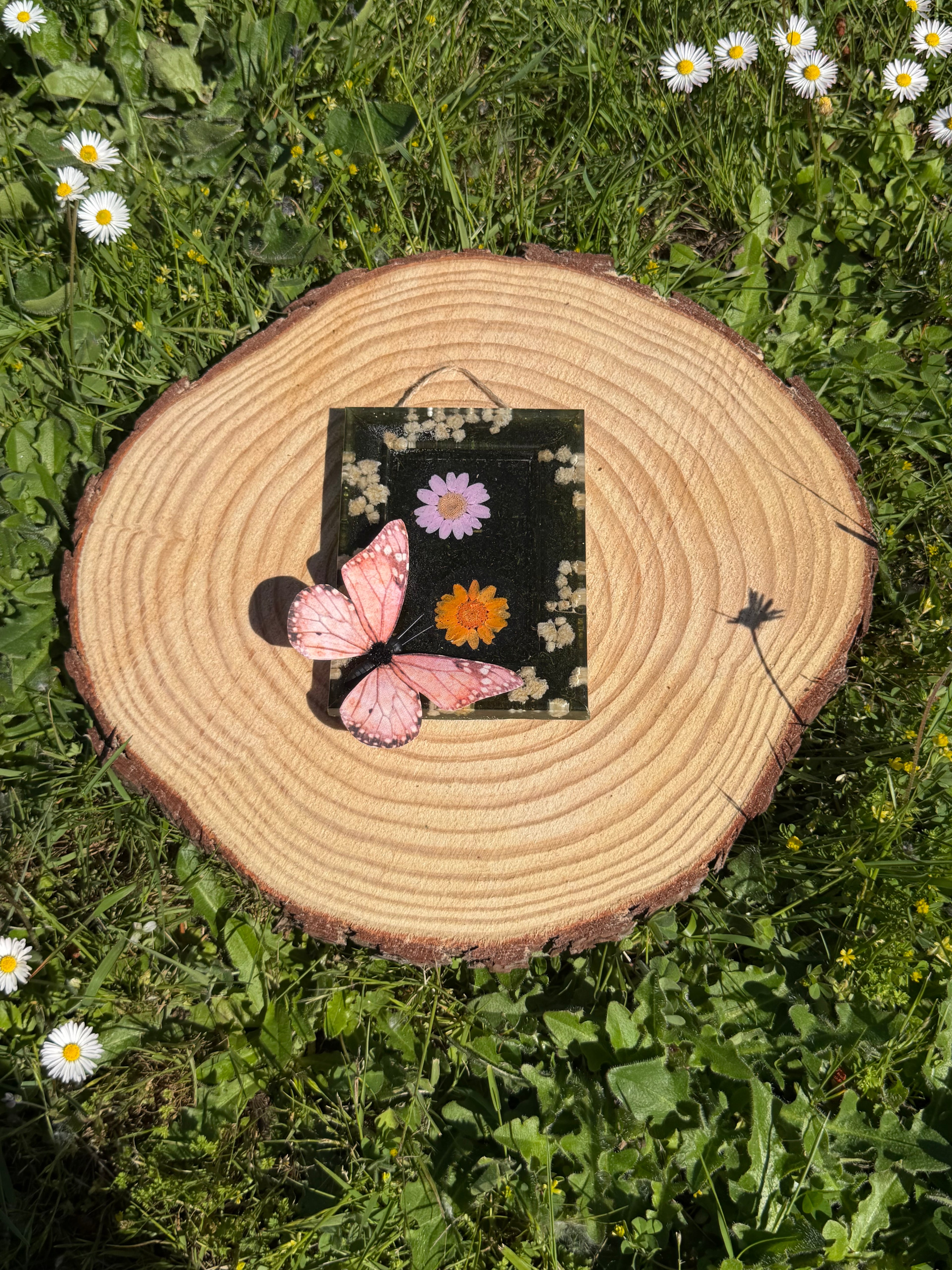 New Butterfly Frames