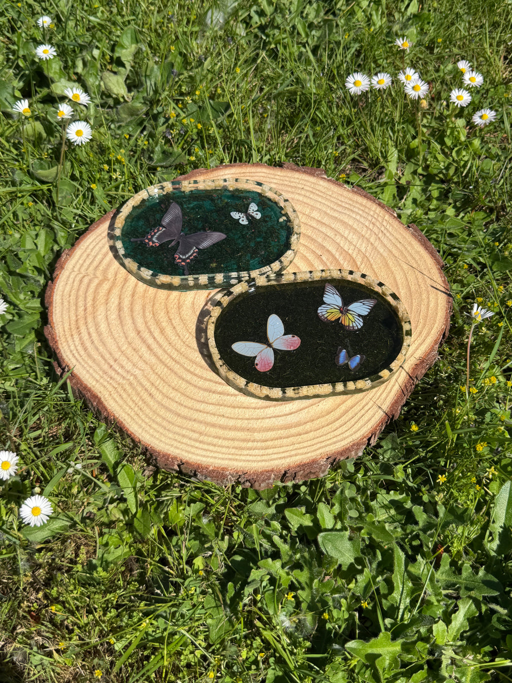 New Butterfly Trinket Trays