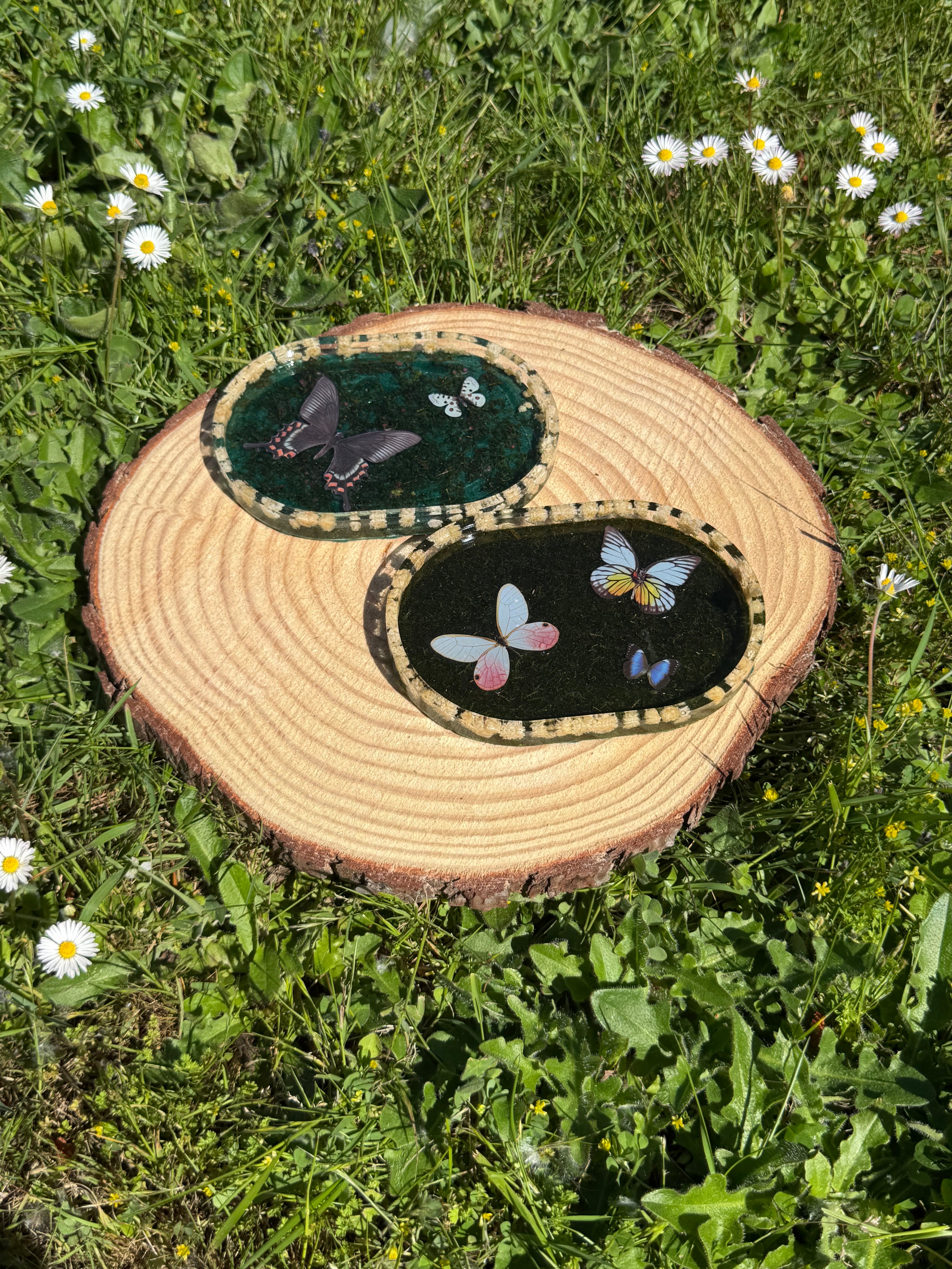New Butterfly Trinket Trays