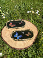 New Butterfly Trinket Trays