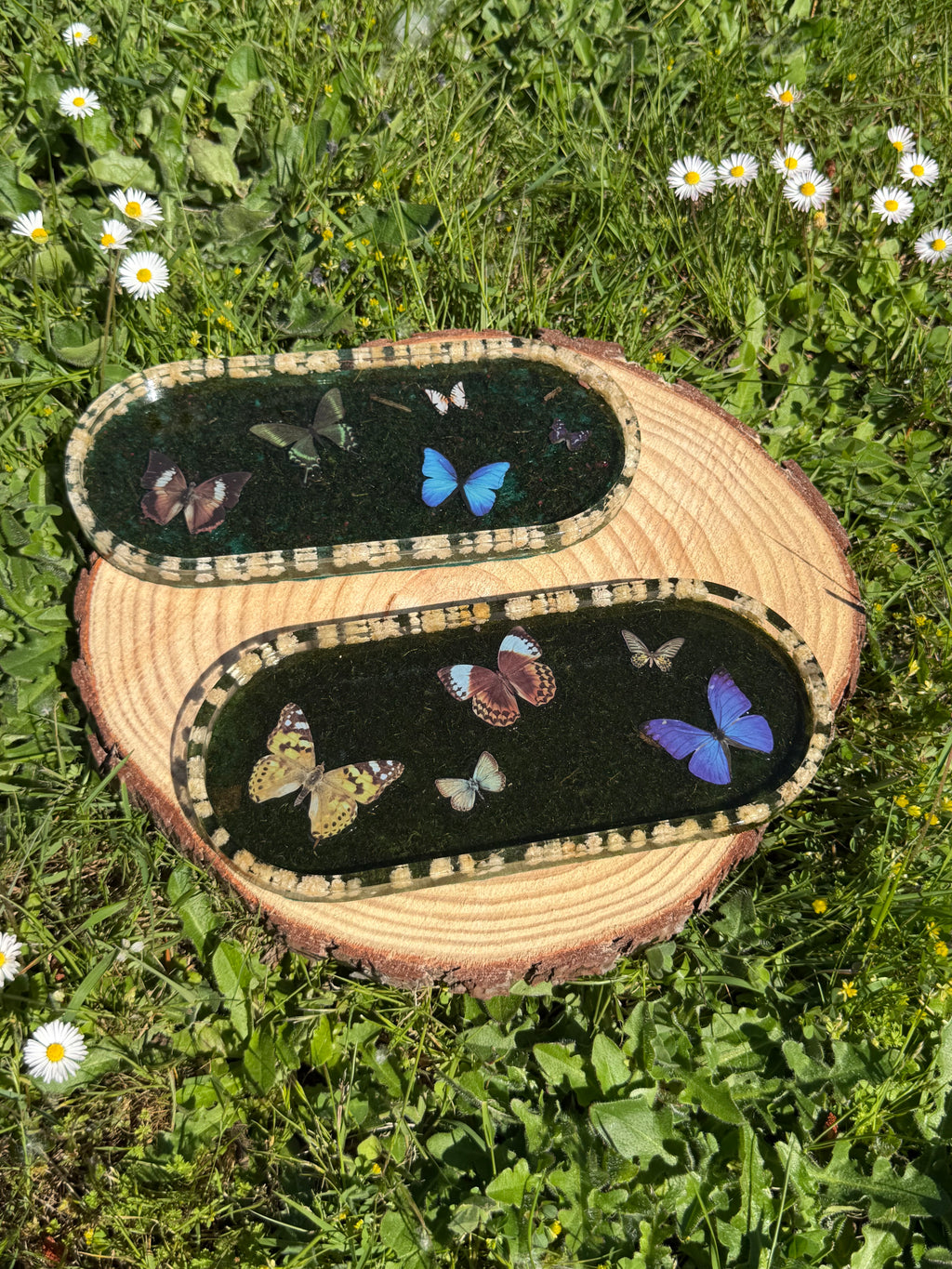 New Butterfly Trinket Trays